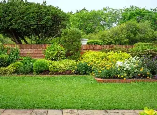 landscaping services Norwood Court